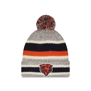 Bears New Era Bearface Knit Stripe Beanie