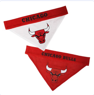 Bulls Reversible Bandana L/XL