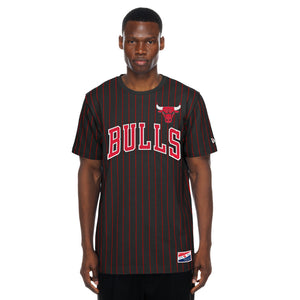 Bulls New Era 2026 Stripe T-shirt