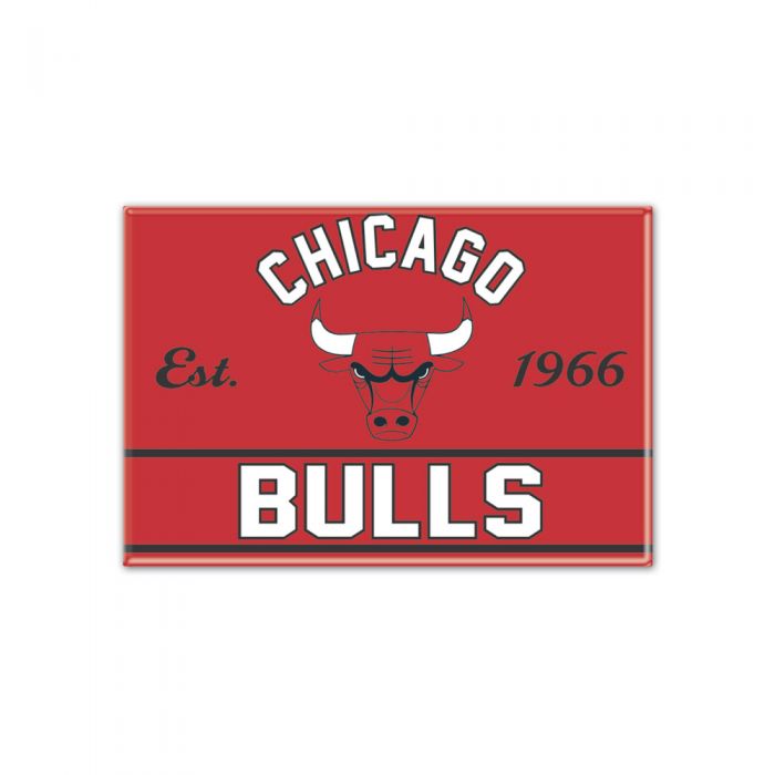 Bulls Metal Magnet