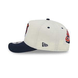 Bears New Era Bearface Rear Hit 950 A-Frame