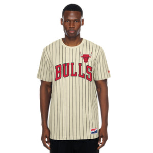Bulls New Era Dune Dust Stripe T-shirt