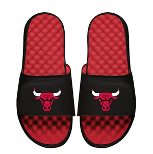 Bulls Mantra Primary Logo ISlides