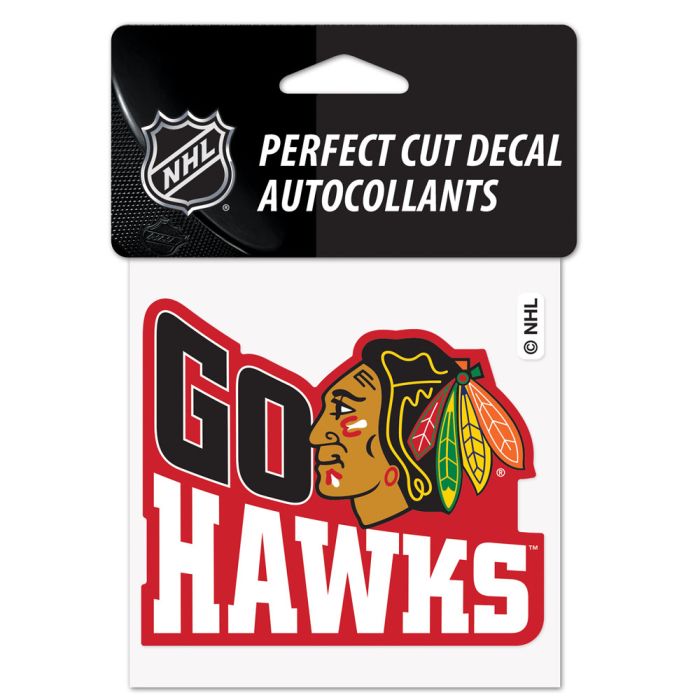 Blackhawks GO HAWKS Decal