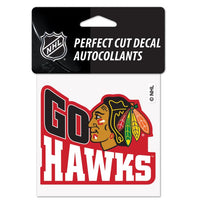 Blackhawks GO HAWKS Decal