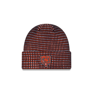 Bears New Era 2026 Bearhead Knit