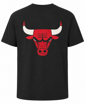 Bulls '47 Arched Pass Franklin T-shirt