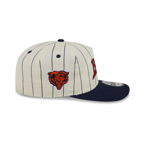 Bears New Era Bearhead Pinstripe 1920