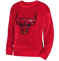 Chicago Bulls – Chicago Sports
