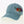 Chicago Blooming Buds Hat