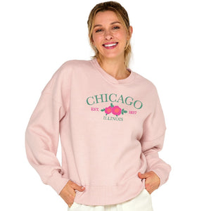 Chicago Soft As A Grape Ladies Snuggly Wide Rib Hoody (D)
